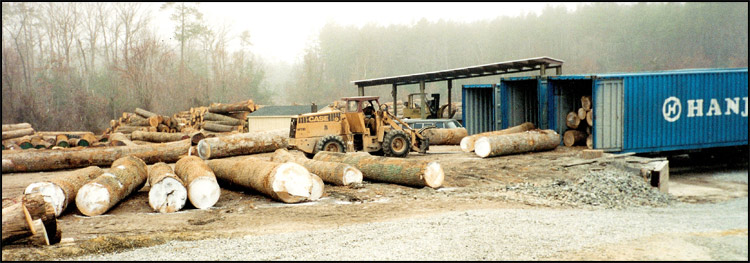 Loading Yellow Poplar Veneer Logs