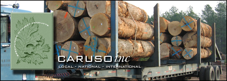 Caruso Inc. Local, National, International