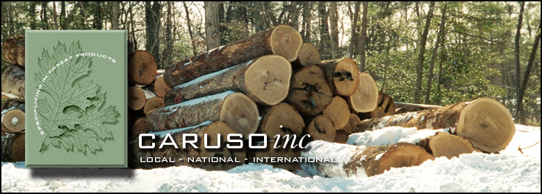 Caruso Inc. Local, National, International