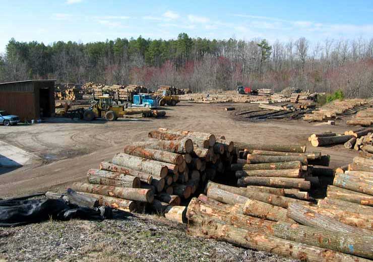 Log Yard Activity
