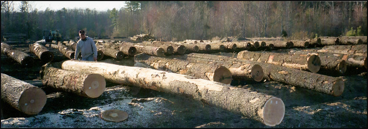 Maple, Cherry, Walnut Sale
