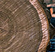 Black Walnut Veneer Logs