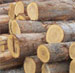 Cypress Saw Logs