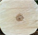 Hard Maple Veneer Logs