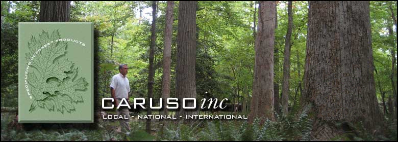 Caruso Inc. Local, National, International