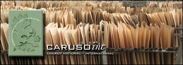 Caruso Inc. Local, National, International