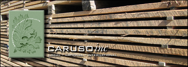 Caruso Inc. Local, National, International