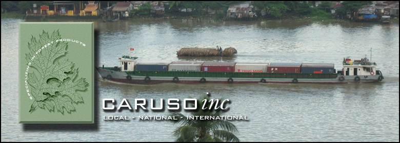 Caruso Inc. Local, National, International