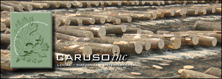 Caruso Inc. Local, National, International