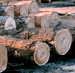 Red Elm Saw Logs
