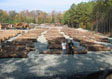 Black Cherry Saw Log 4