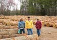 White Oak Saw Log 5