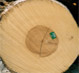 Tulip Poplar Veneer Logs