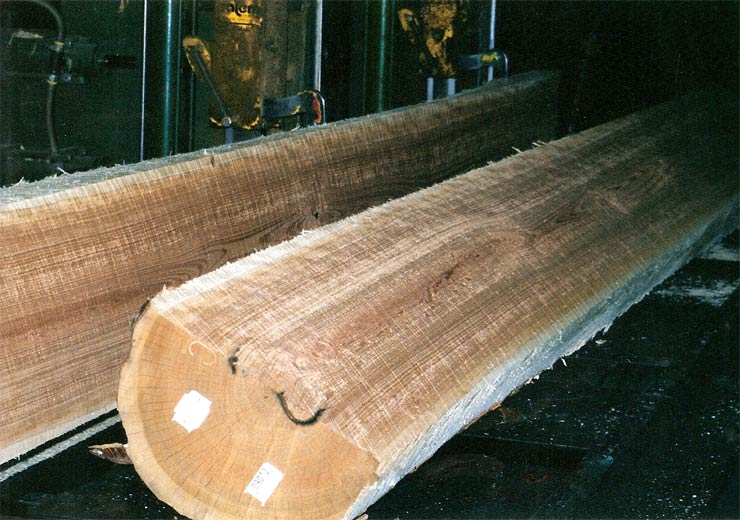 Black Cherry Veneer Log 7