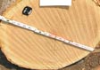 Red Oak Veneer Log 9