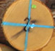 White Oak Veneer Logs